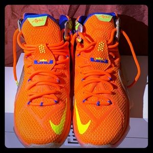 Nike LeBron’s Meridians, men’s size 9.5